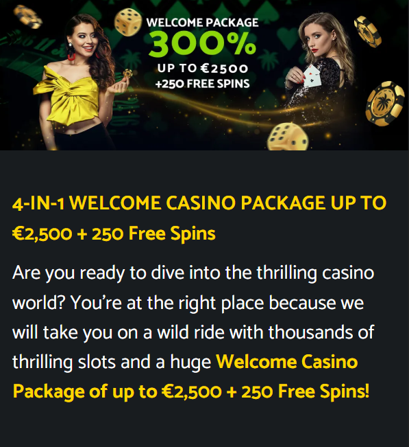 PalmSlots Casino offizielle Webseite